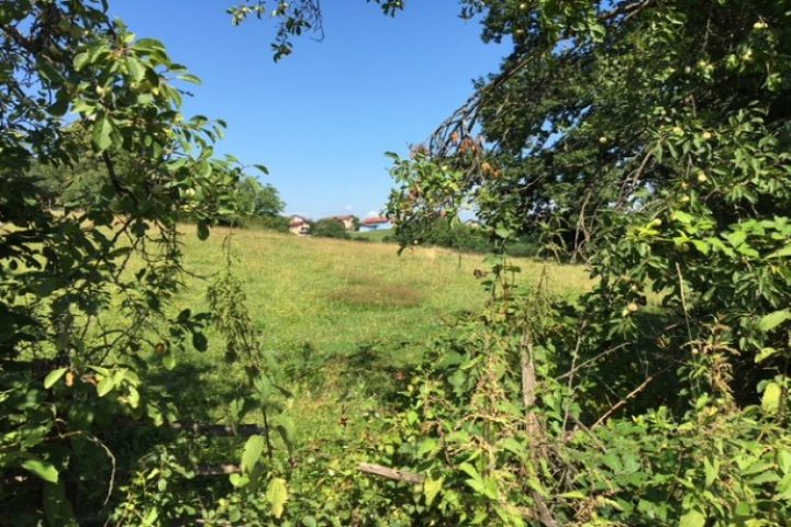 LAND IN REBROVAC FOR SALE