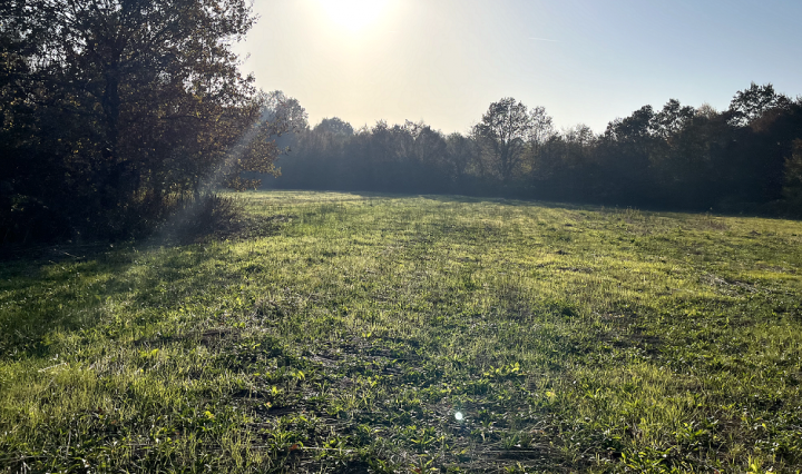 Prodaje se zemljište u mjestu Milosavci